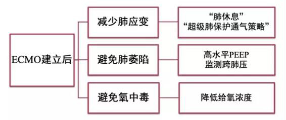 ECMO(專題二)(圖1) ECMO(專題二)(圖1)