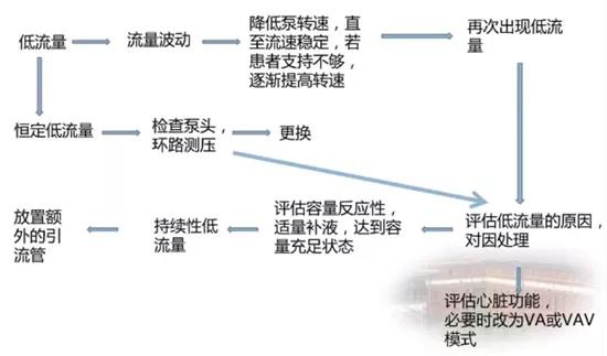 ECMO(專題一)(圖3) ECMO(專題一)(圖3)